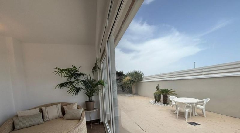 Murcia - San Javier - 600m2