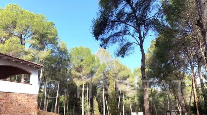 Valencia - Nàquera - 587m2