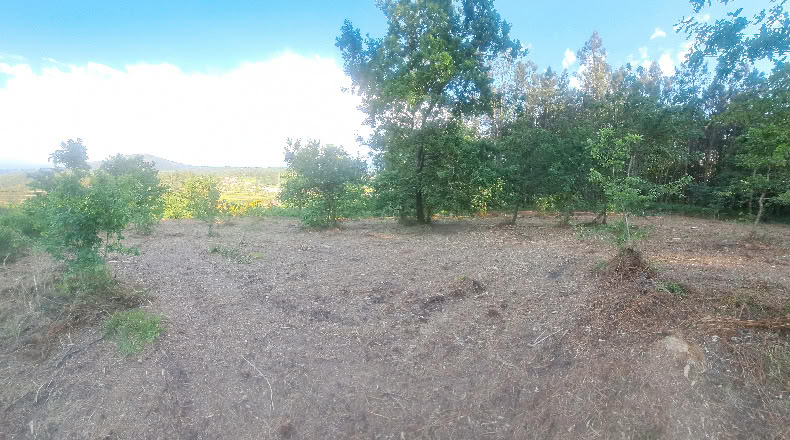 Pontevedra - Bronllo - 3270m2