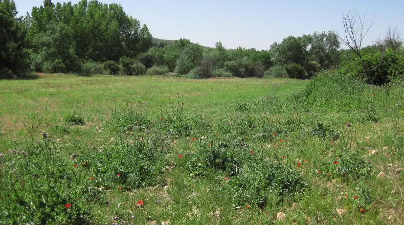 Мадрид - Fresno de Torote - 630000m2
