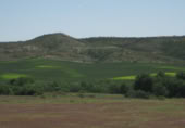 Non-developable land for sale in Fresno de Torote ref: TR415487 photo