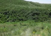 Non-developable land for sale in Fresno de Torote ref: TR415487 photo