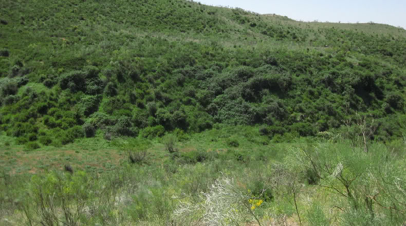 Мадрид - Fresno de Torote - 630000m2