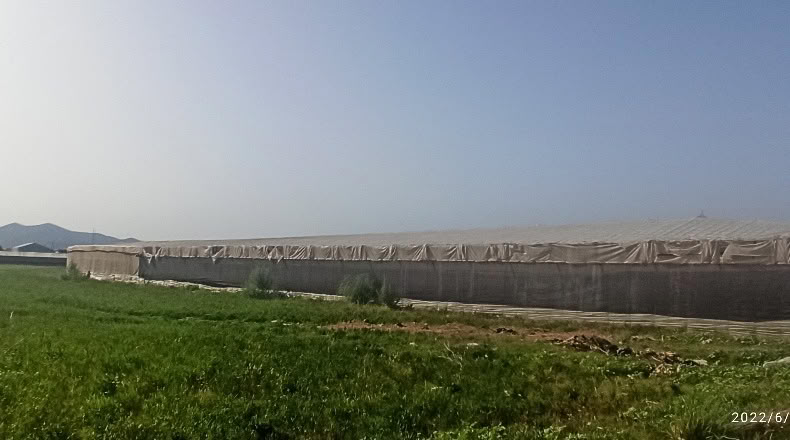 Granada - Motril - 11300m2