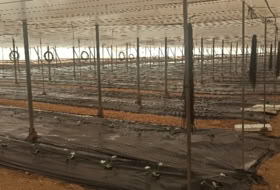 Motril 11300&nbsp;m²