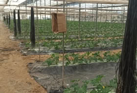 Motril 11300&nbsp;m²