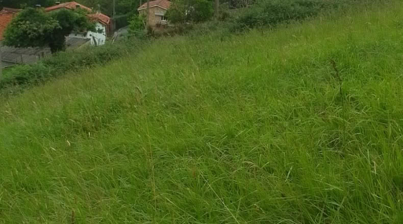 Asturias - Caldones - 2000m2