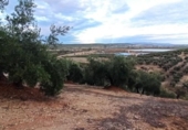 Terreno no urbanizable en venta en la España, Villargordo, ref: TR219835 foto
