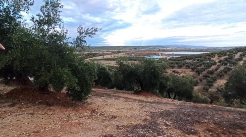 Jaén - Baeza - 18519m2