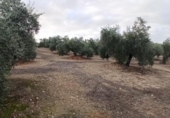 Terreno no urbanizable en venta en la España, Villargordo, ref: TR219835 foto