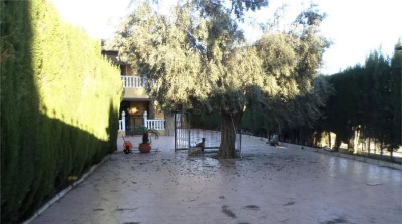 Alicante - Orihuela - 1000m2