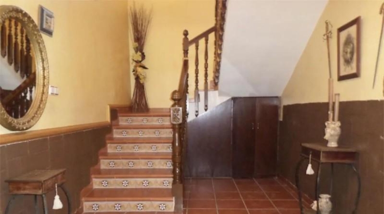 Alicante - Orihuela - 1000m2