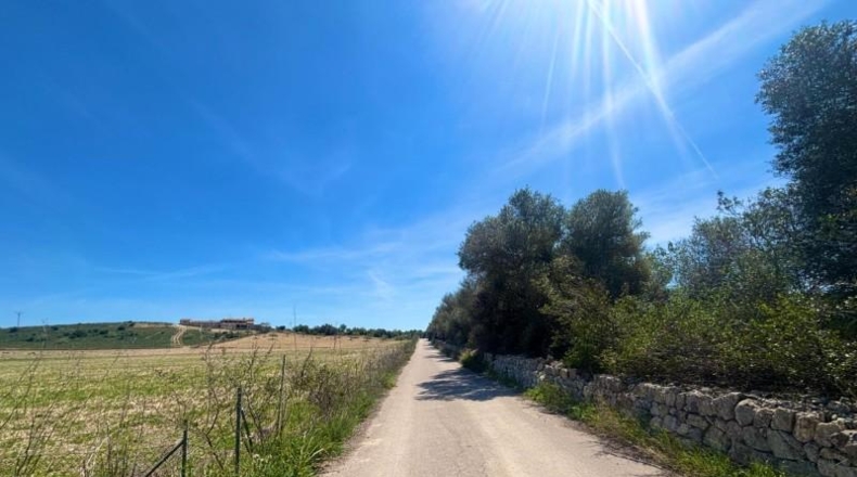 Illes Balears - Petra - 66250m2