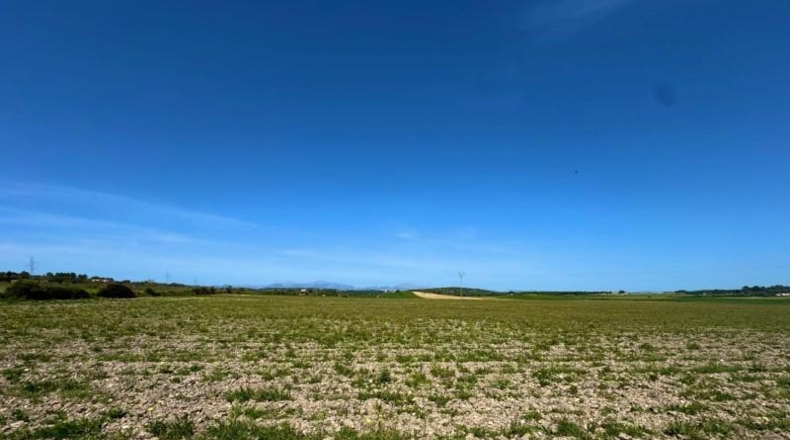 Illes Balears - Petra - 66250m2