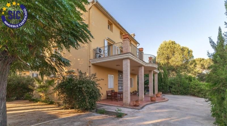 Alicante - Dolores - 23807m2