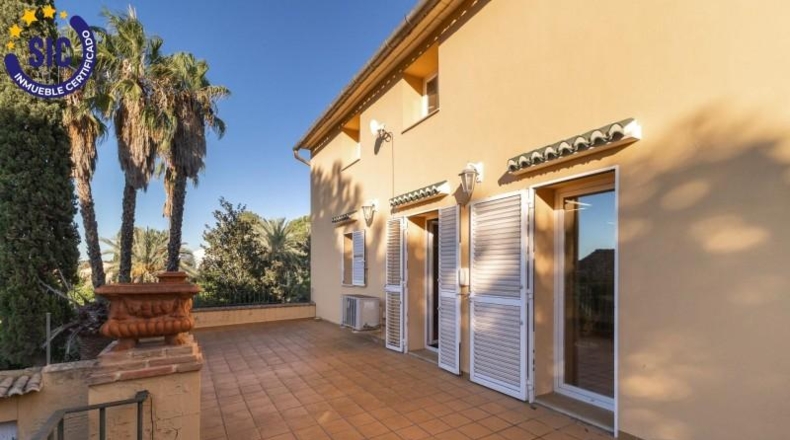 Alicante - Dolores - 23807m2