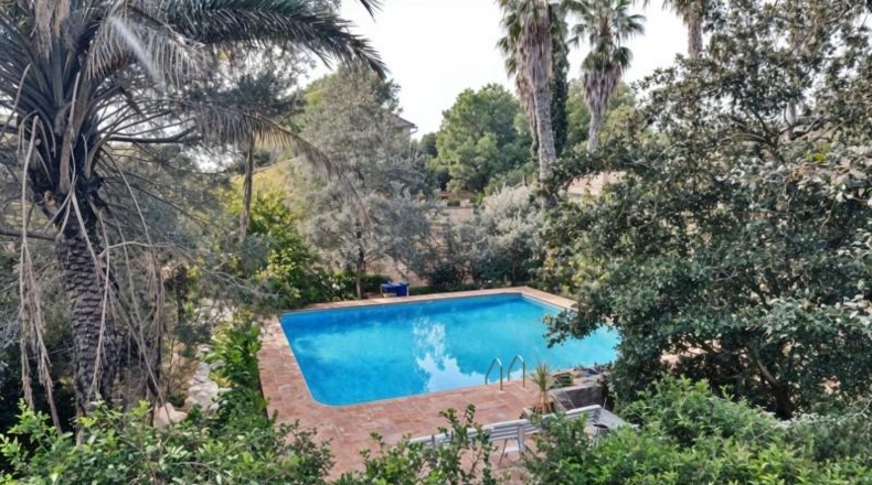 Alicante - Dolores - 23807m2