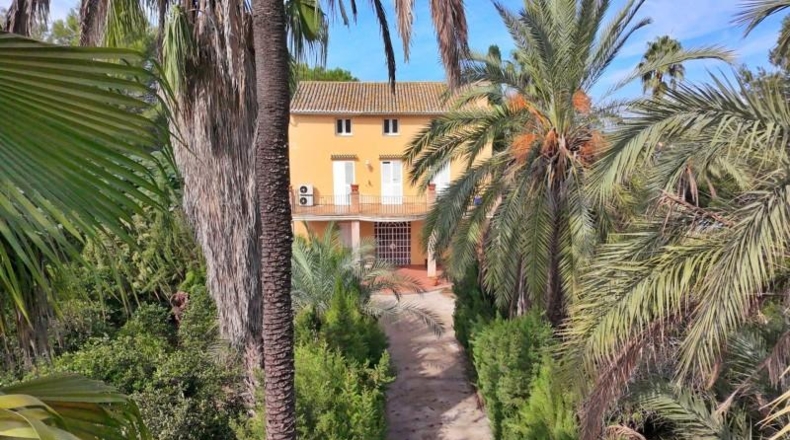 Alicante - Dolores - 23807m2