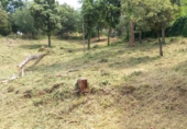 Suelo urbano en venta en Santa Maria de Palautordera ref: TR415486 foto