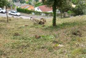 Foto 8