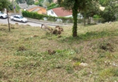 Suelo urbano en venta en Santa Maria de Palautordera ref: TR415486 foto