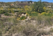 Terreno no urbanizable en venta en la España, Murcia, ref: TR405922 foto
