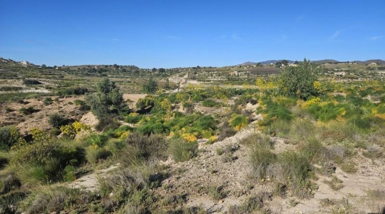 Murcia - Murcia - 6708m2