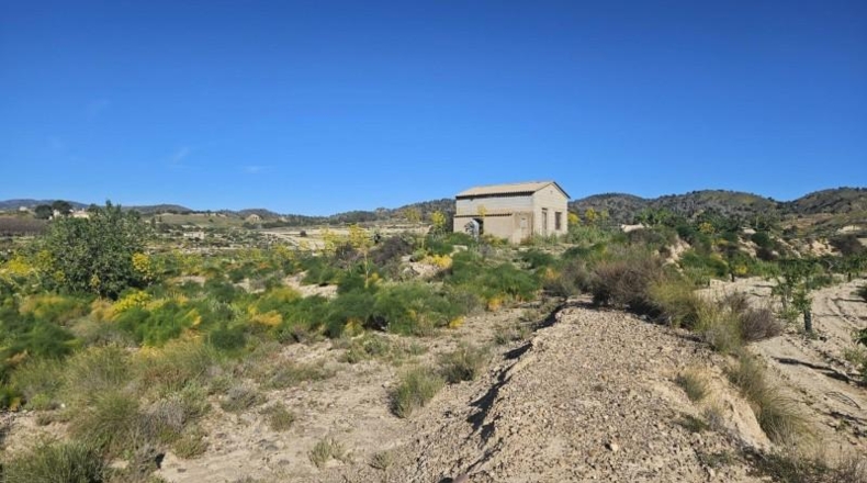 Murcia - Murcia - 6708m2
