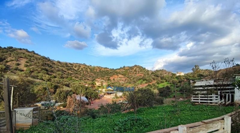 Malaga - Málaga - 3000m2
