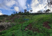Terreno no urbanizable en venta en la España, Málaga, ref: TR203407 foto