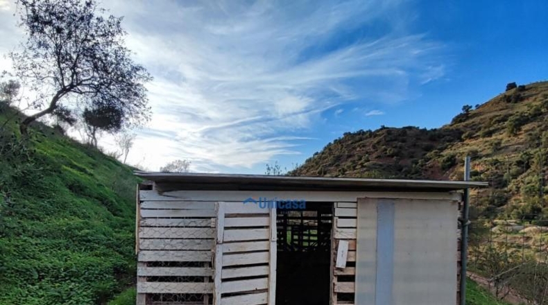 Malaga - Málaga - 3000m2