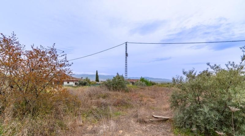 Granada - Albolote - 825m2