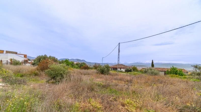 Granada - Albolote - 825m2