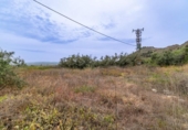 Parcela urbanizable en venta en la España, Albolote, ref: TR415520 foto