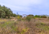 Parcela urbanizable en venta en la España, Albolote, ref: TR415520 foto
