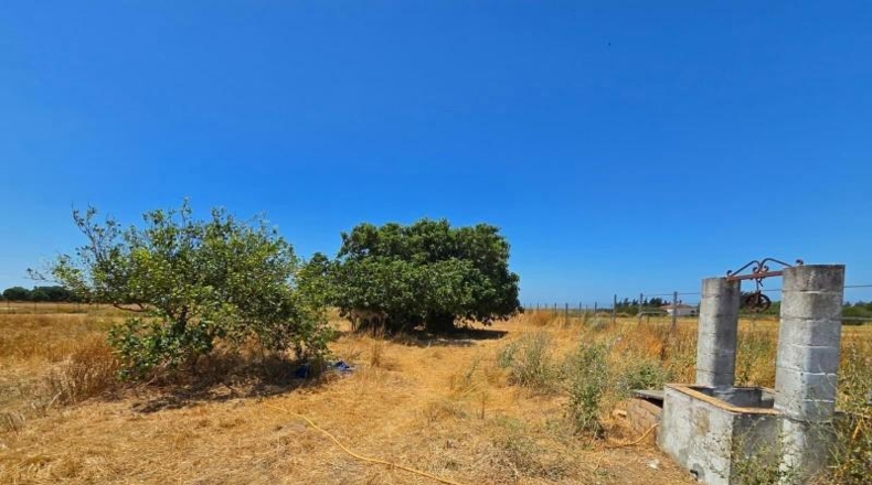Cádiz - Chiclana de la Frontera - 8201m2