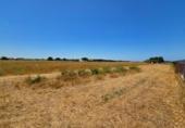 Non-developable land for sale on España, Chiclana de la Frontera, ref: TR415525 photo