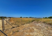 Non-developable land for sale on España, Chiclana de la Frontera, ref: TR415525 photo