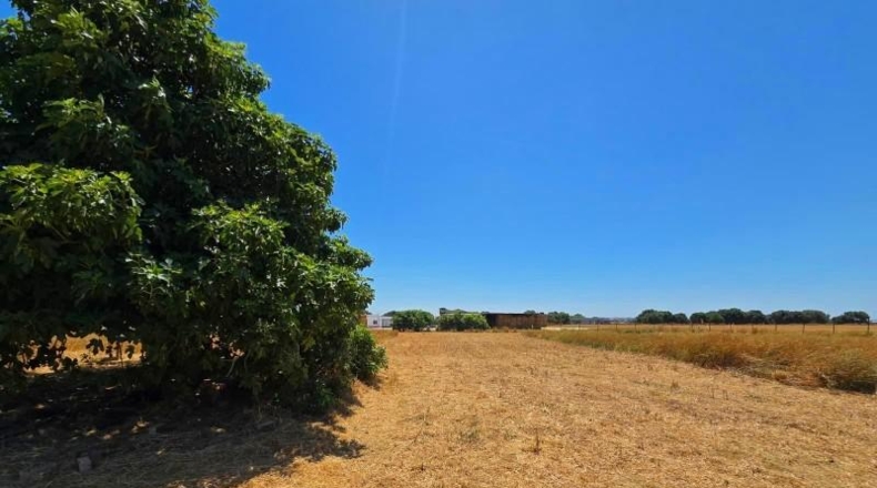Cádiz - Chiclana de la Frontera - 8201m2