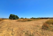 Non-developable land for sale on España, Chiclana de la Frontera, ref: TR415525 photo