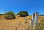 Non-developable land for sale on España, Chiclana de la Frontera, ref: TR415525 photo