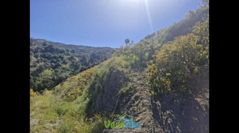 Granada - Jete - 9000m2