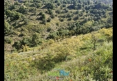 Terreno no urbanizable en venta en la España, Jete, ref: TR404328 foto