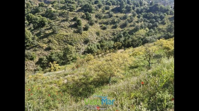 Granada - Jete - 9000m2