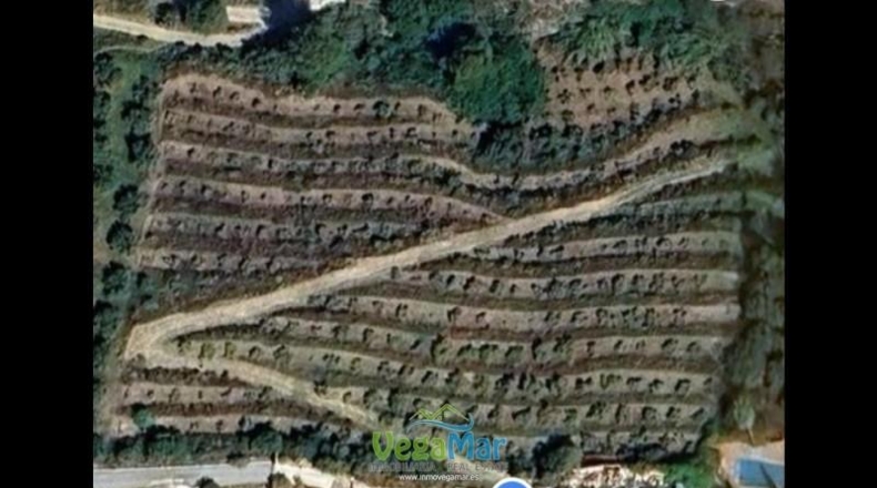 Granada - Jete - 9000m2