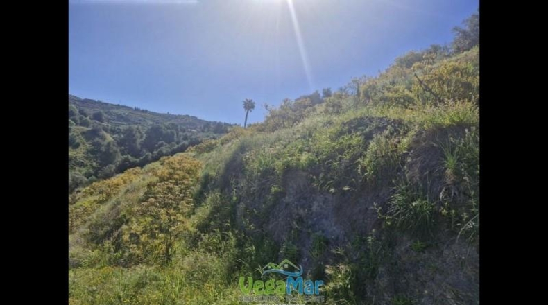 Granada - Jete - 9000m2