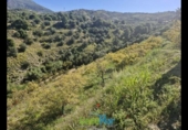 Terreno no urbanizable en venta en la España, Jete, ref: TR404328 foto