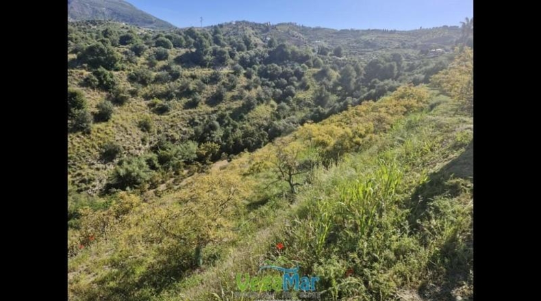 Granada - Jete - 9000m2