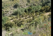 Terreno no urbanizable en venta en la España, Jete, ref: TR404328 foto
