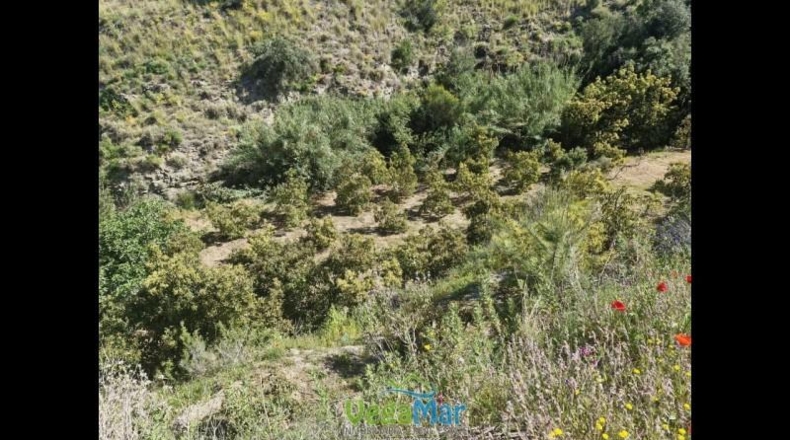 Granada - Jete - 9000m2